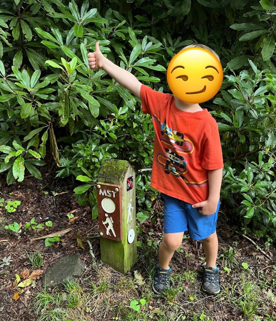 Review Merrell Trail Chaser 2 Jr – Kids Hiking Shoes Worth $45? R