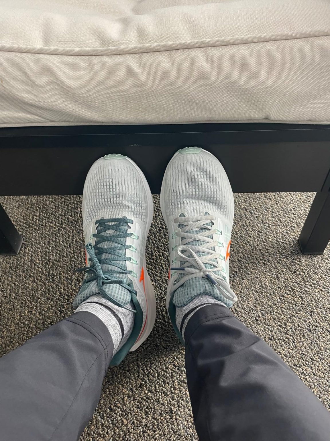 Nike Air Zoom Pegasus 39 Premium Review – Daily Training Workhorse Tested N