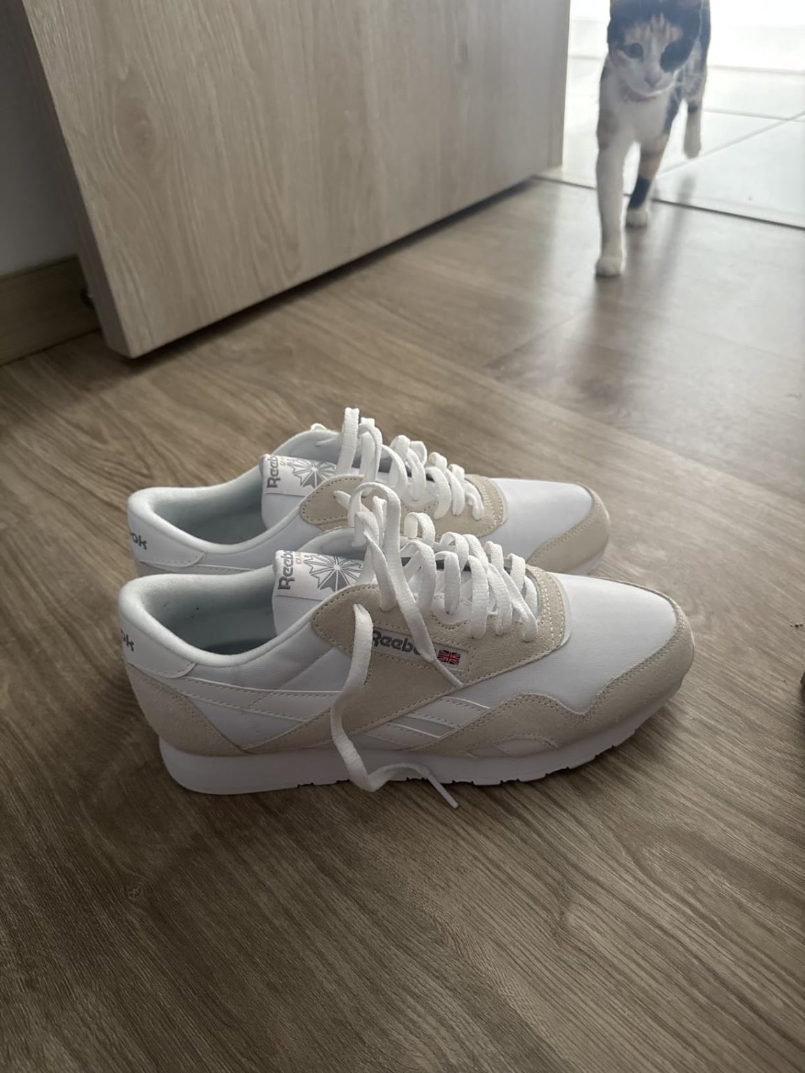 Reebok Classic Mens Sneakers Review – Honest Analysis After 8 Weeks Testing 2025 R