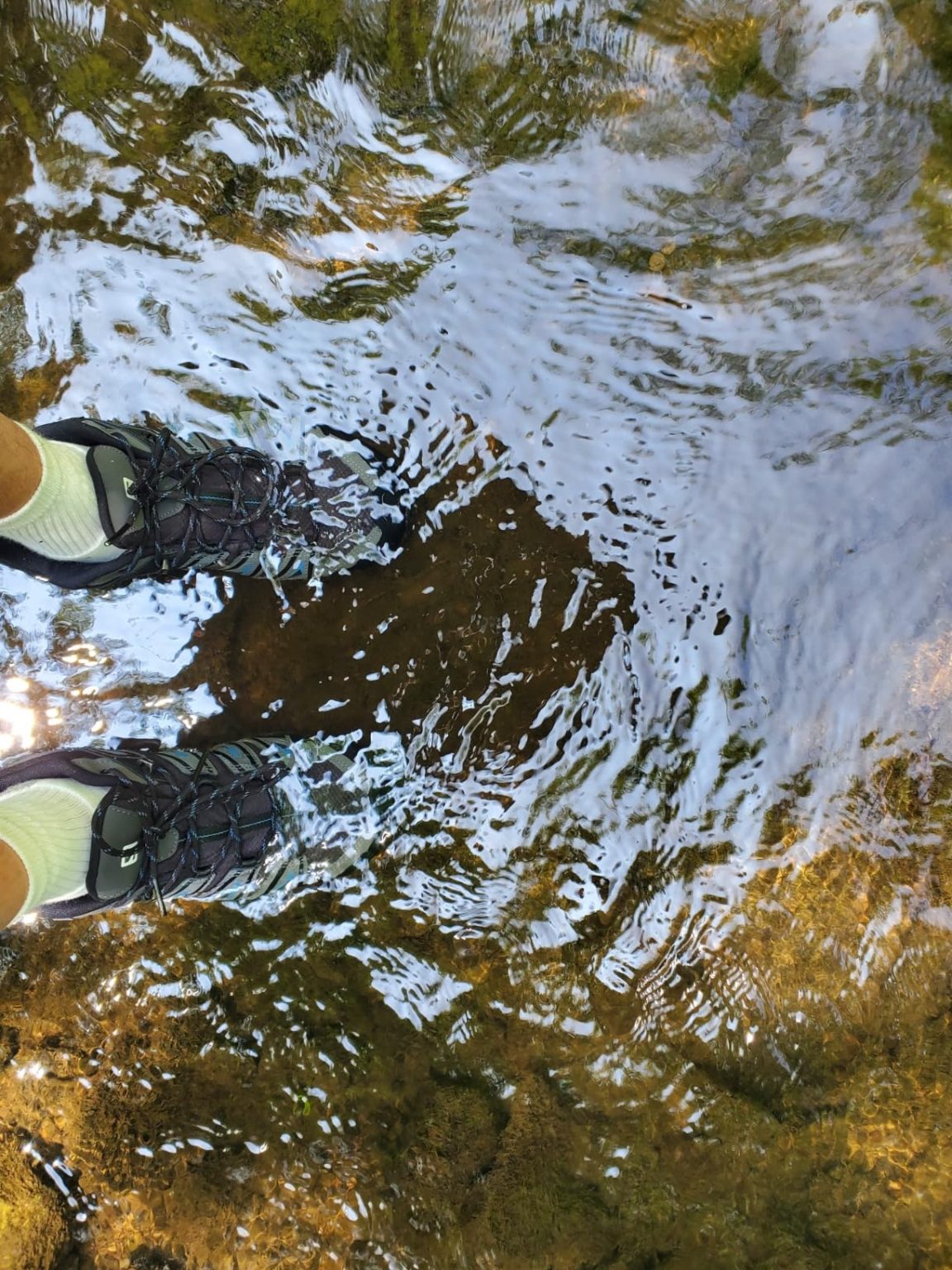Salomon X Ultra Pioneer Review – Waterproof Trail Performance $115 a