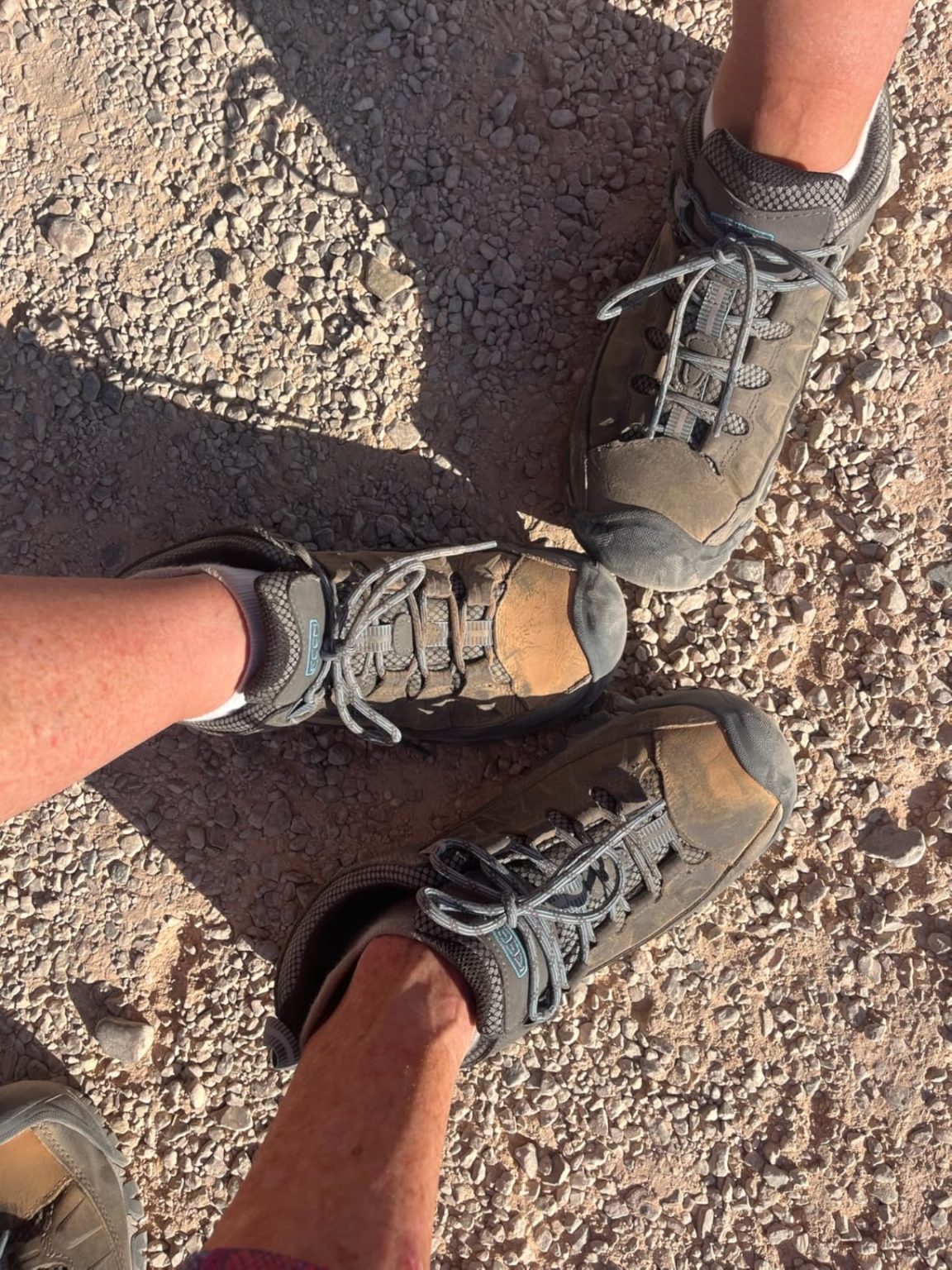 Review KEEN Targhee III – Practical Hiking Performance Price $130 R
